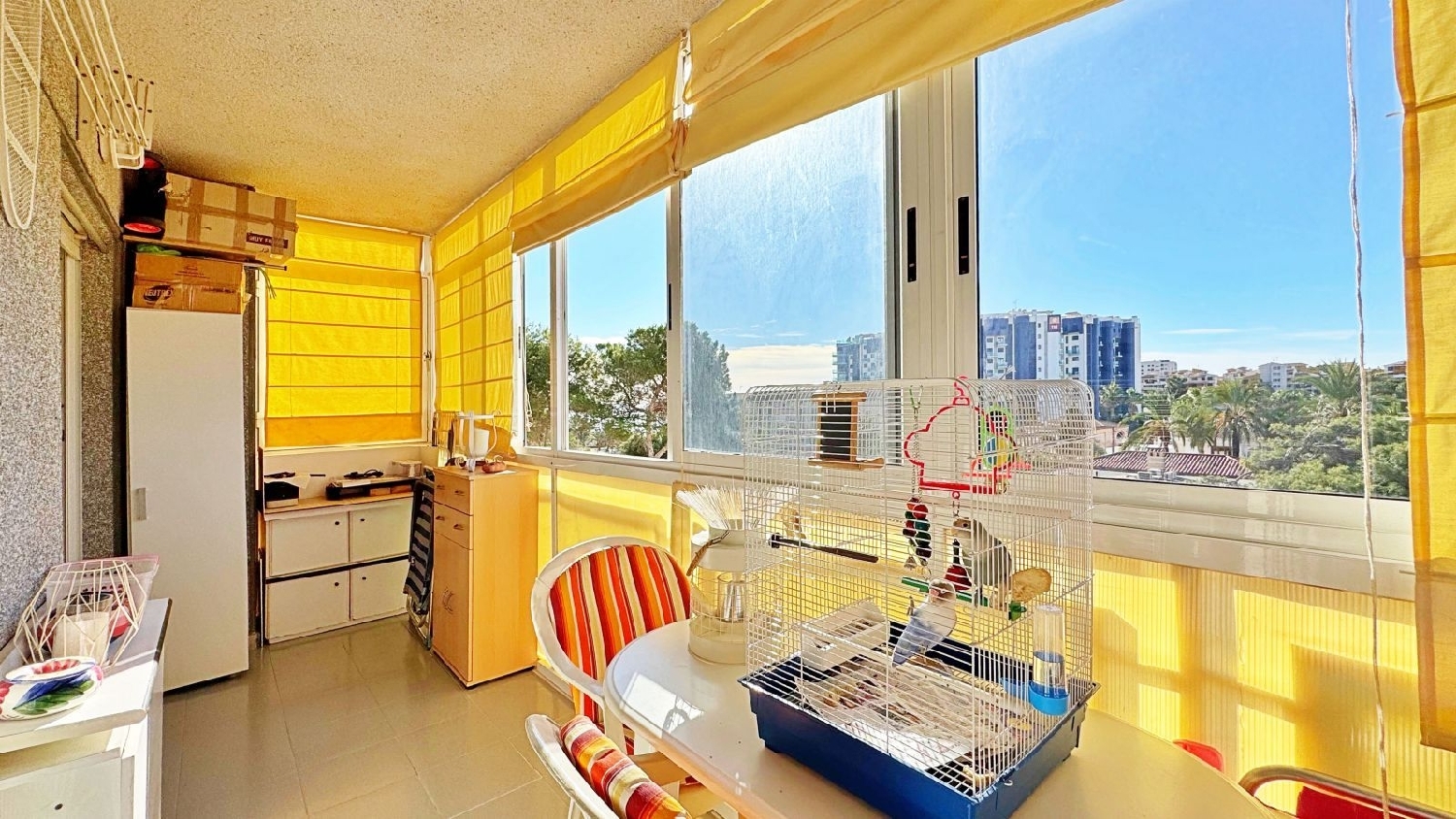 te koop appartement Torrevieja Baix Segura 3