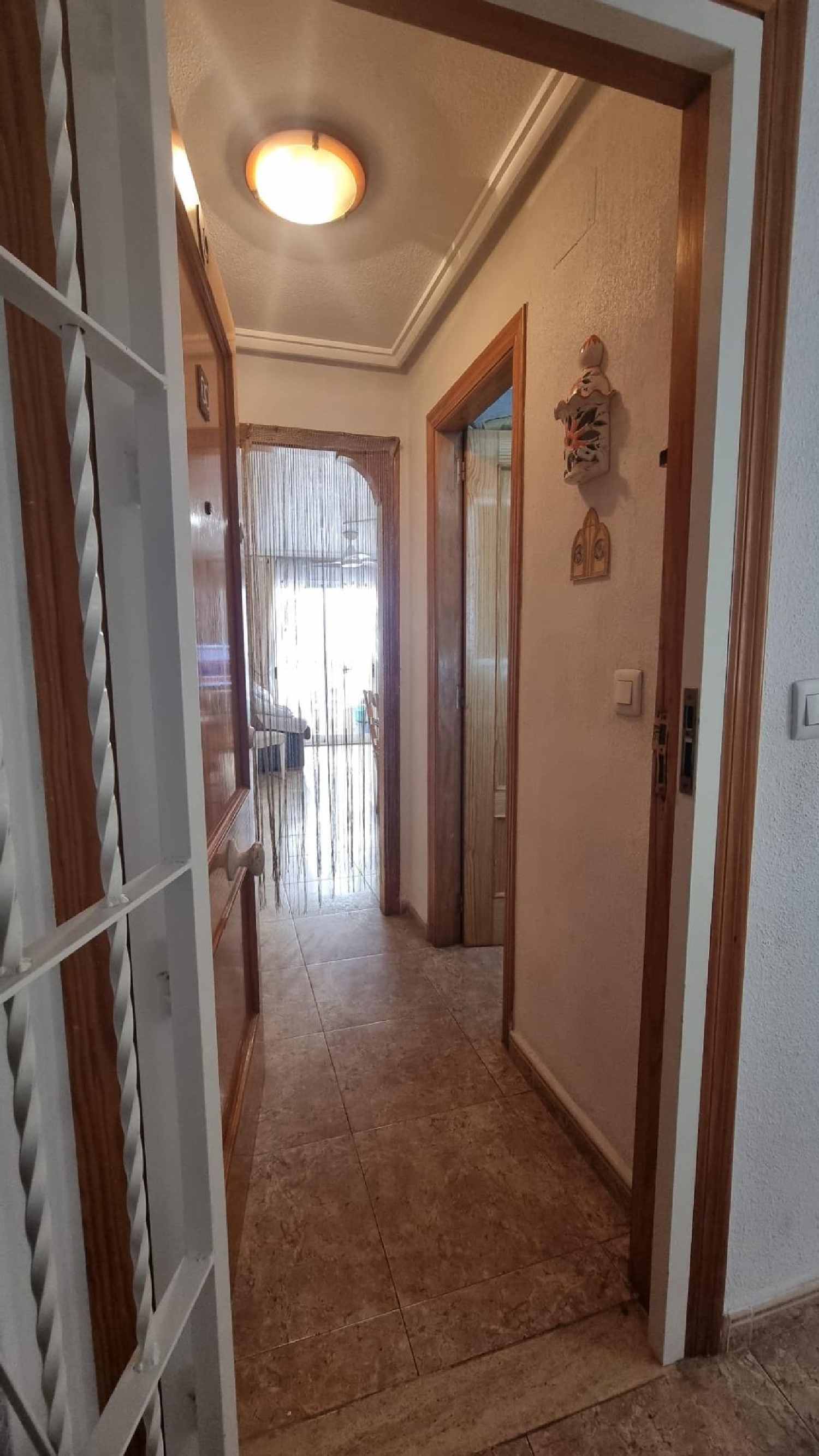  te koop appartement Torrevieja Baix Segura 3