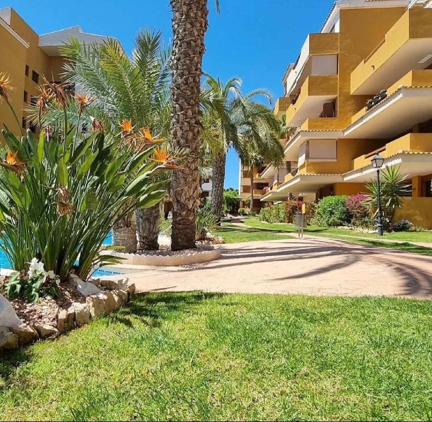  te koop appartement Torrevieja Baix Segura 3