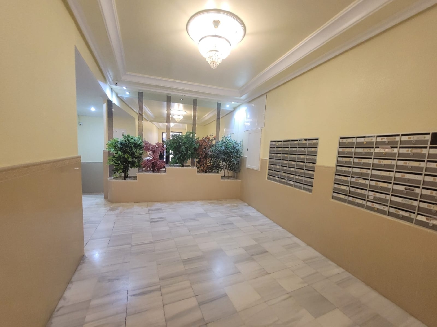 en venta apartamento Torrevieja Baix Segura 3