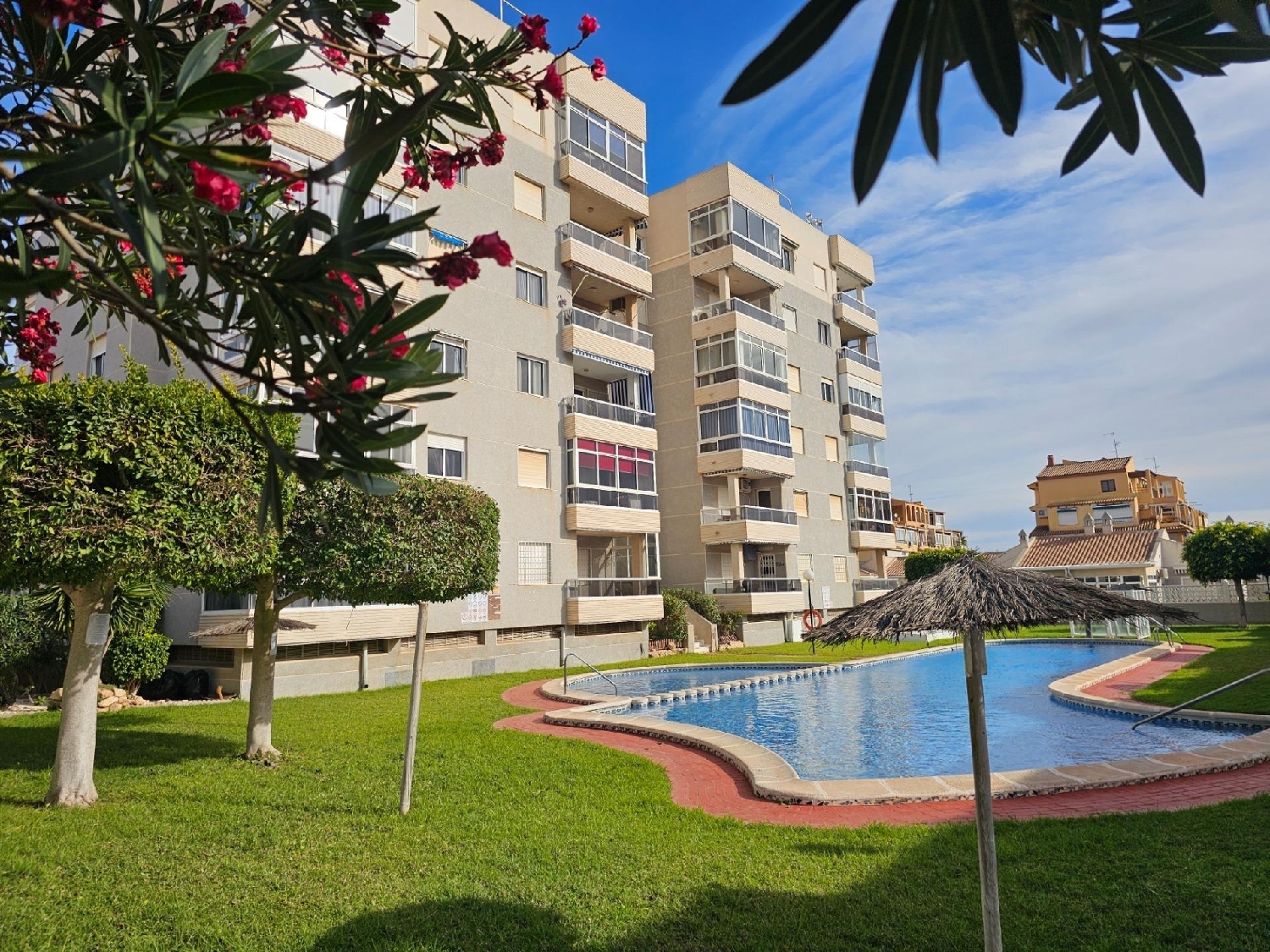  for sale apartment Torrevieja Baix Segura 1