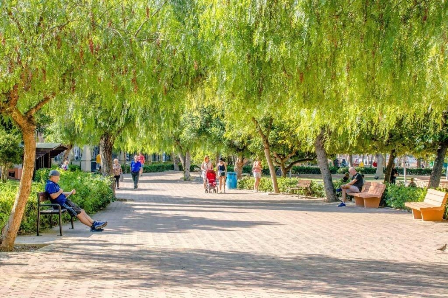  till salu lägenhet Torrevieja Baix Segura 4