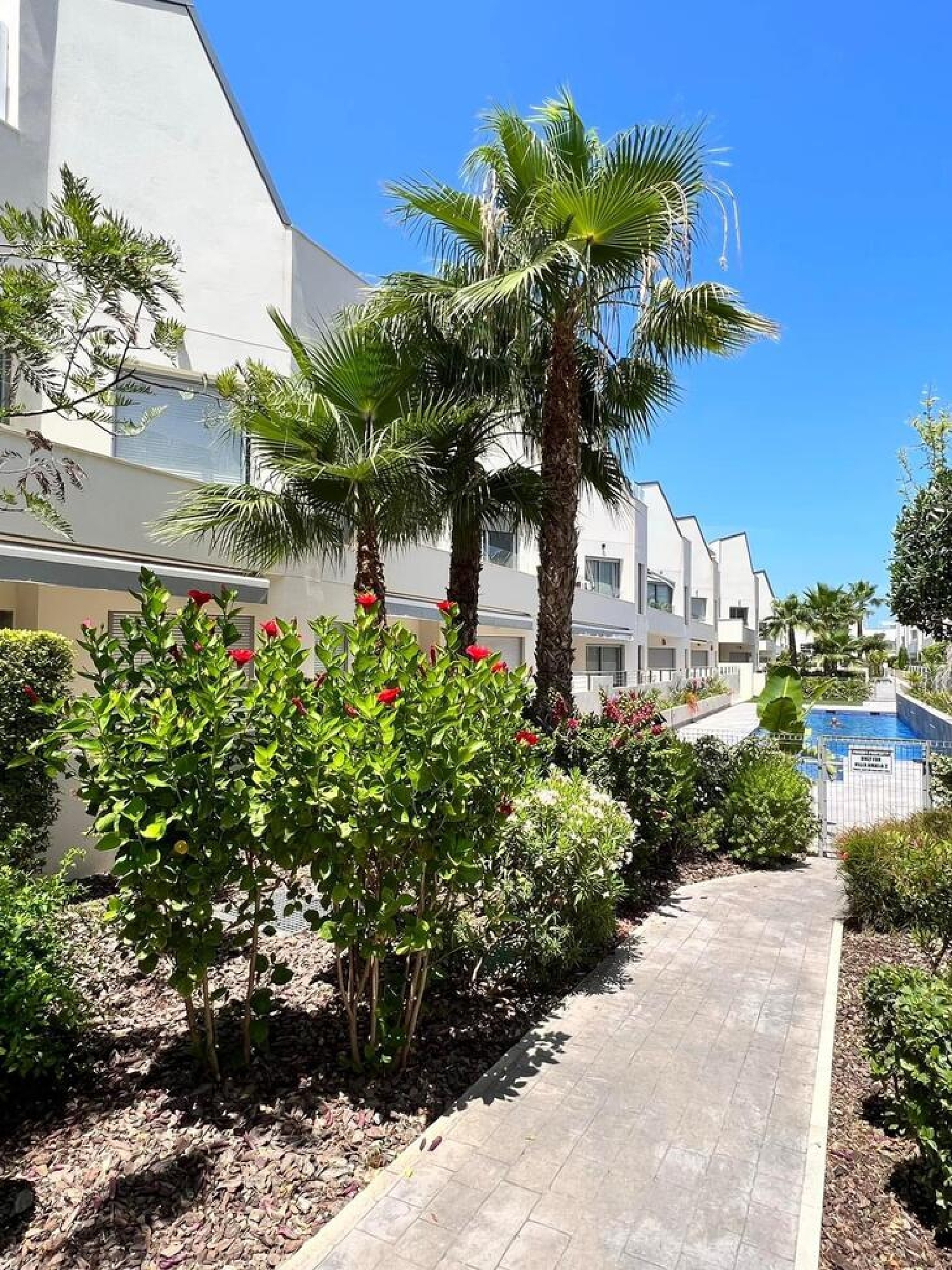  te koop appartement Torrevieja Baix Segura 1