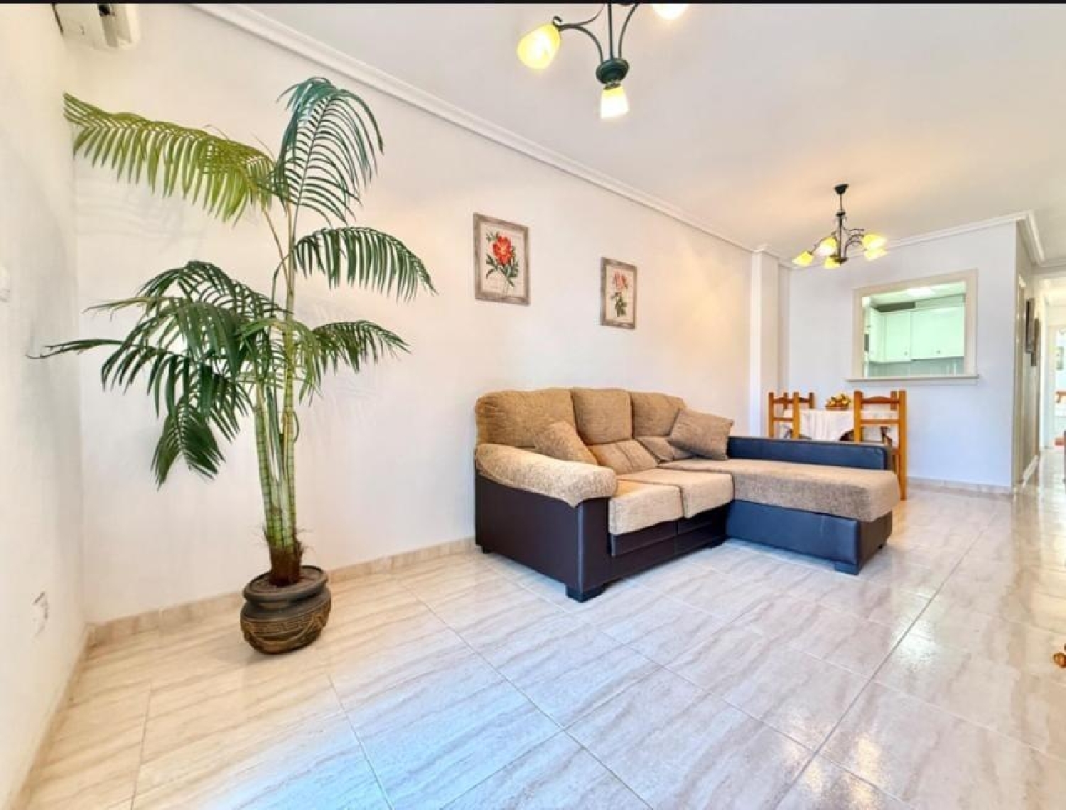 till salu lägenhet Torrevieja Baix Segura 3