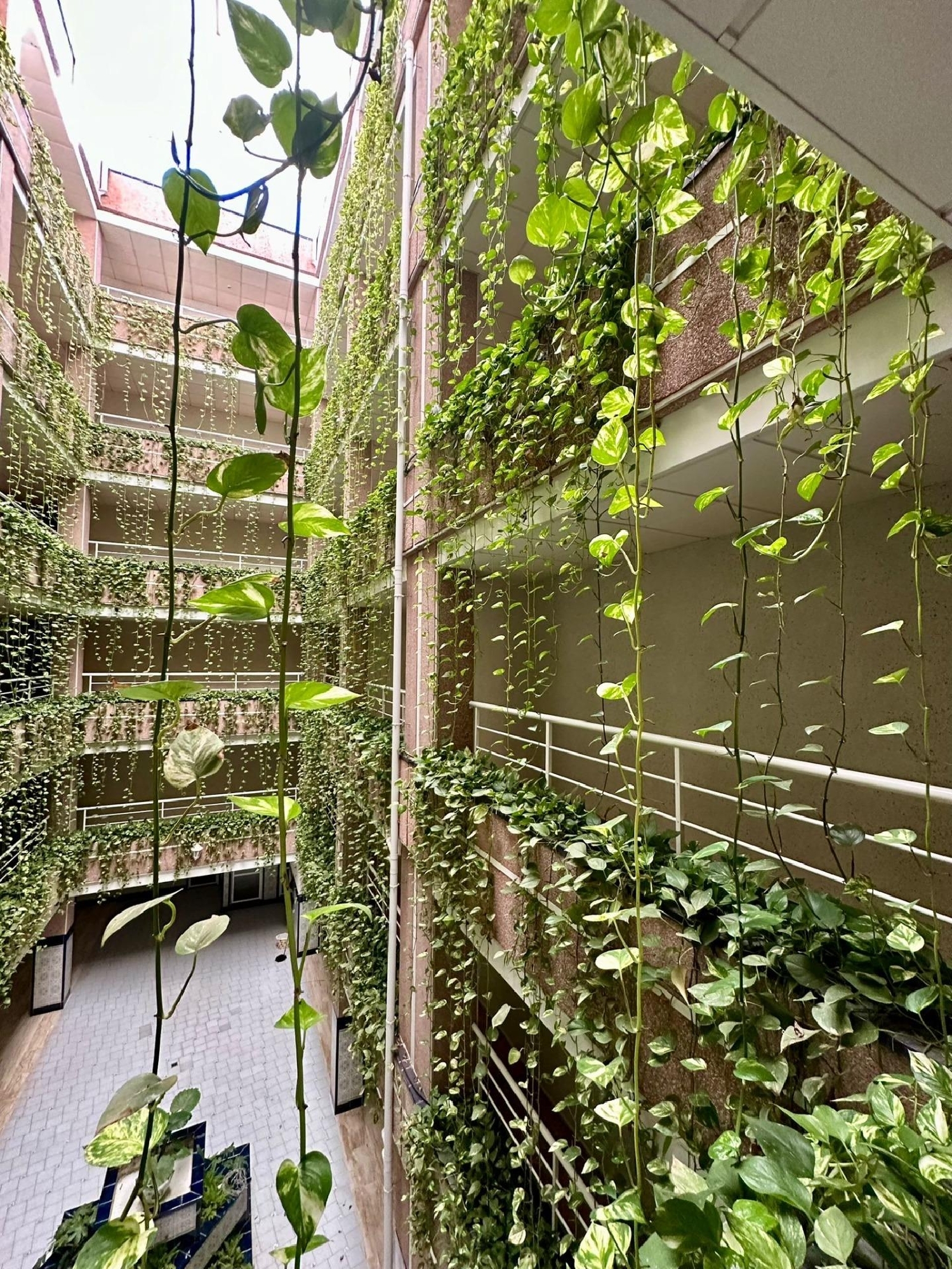  for sale apartment Torrevieja Baix Segura 1