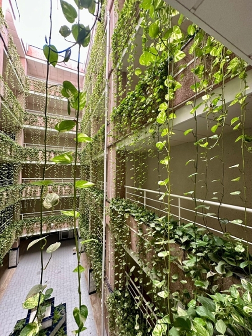 Torrevieja Baix Segura apartment foto 6326851