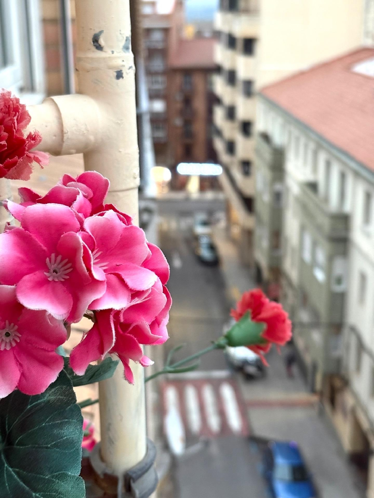  for sale apartment Tudela Tudela 1