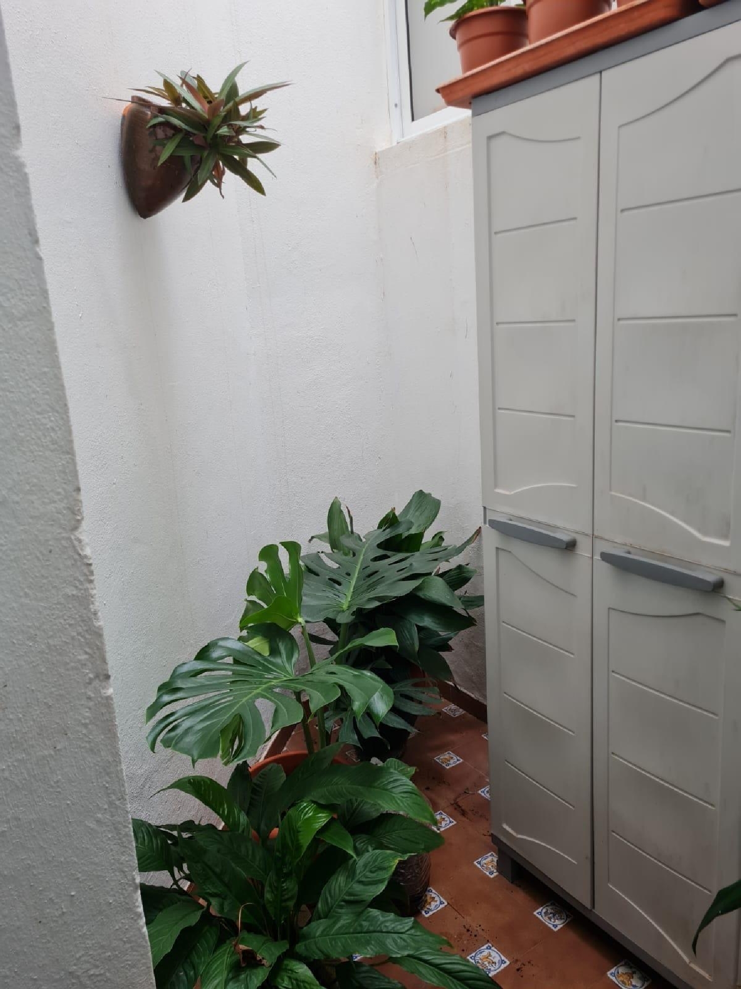  te koop appartement Vejer De La Frontera Janda (La) 6