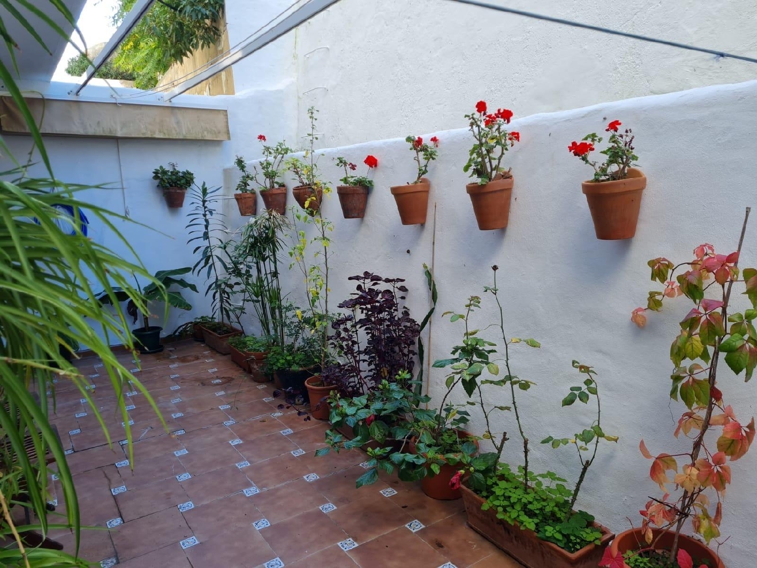  te koop appartement Vejer De La Frontera Janda (La) 4
