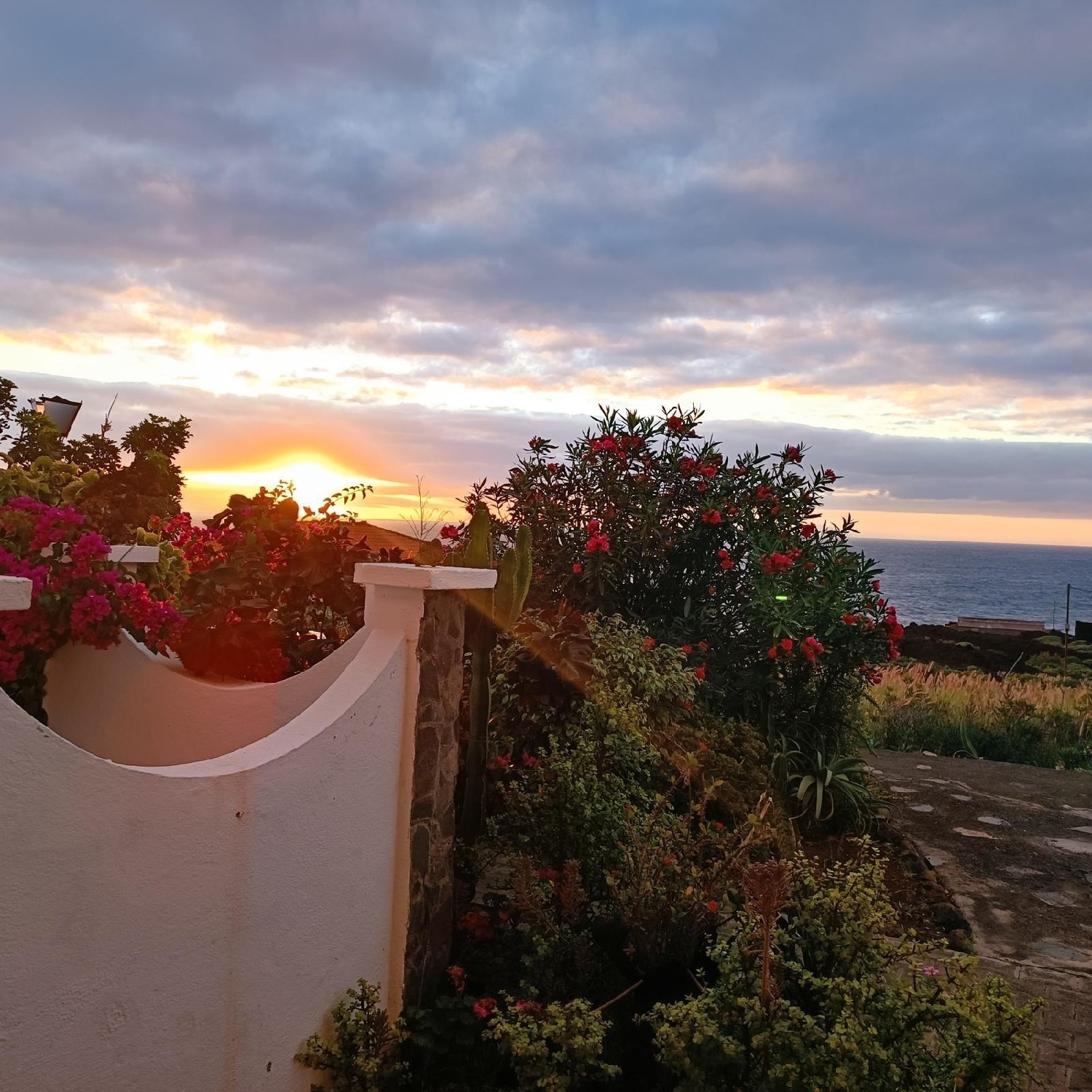  à vendre appartement Villa De Mazo Palma (La) 4