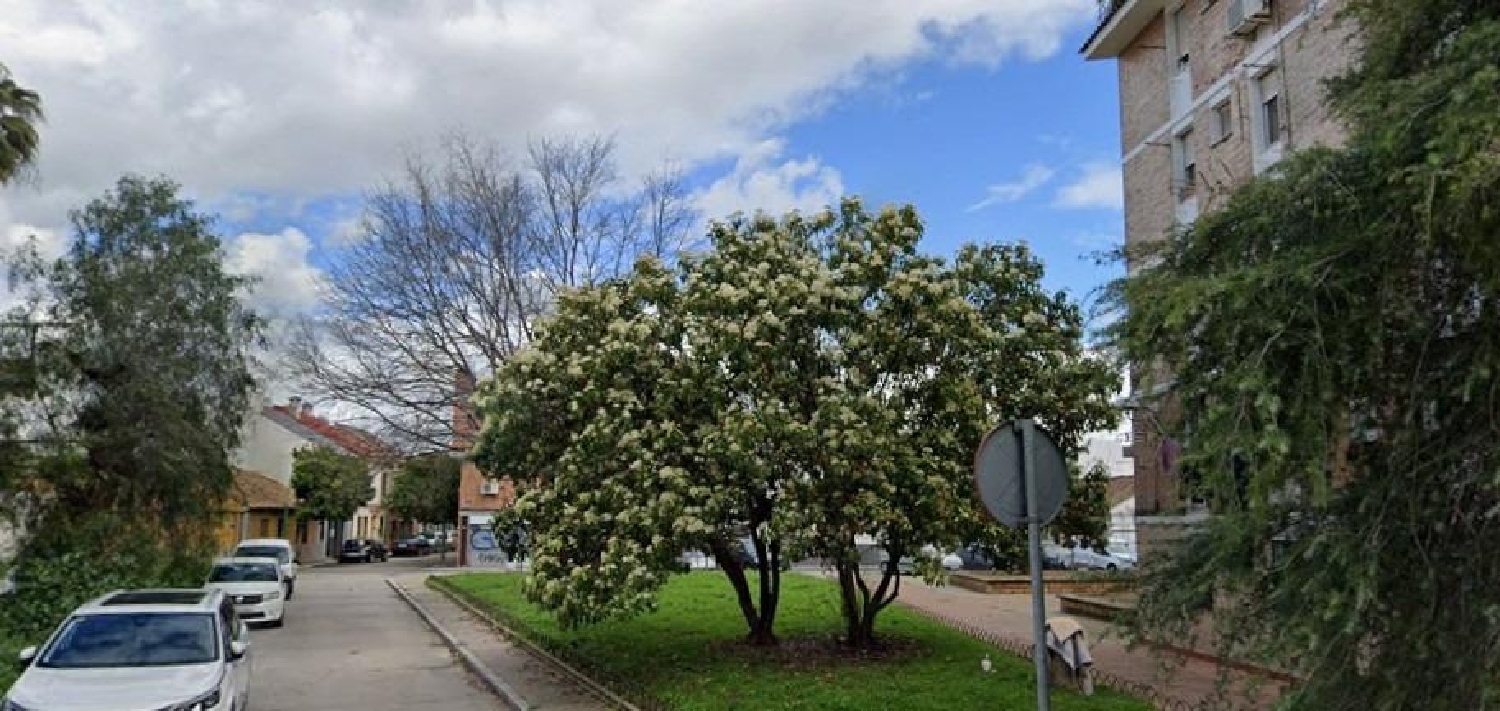  te koop appartement Villafranca De Córdoba Alto Guadalquivir 1