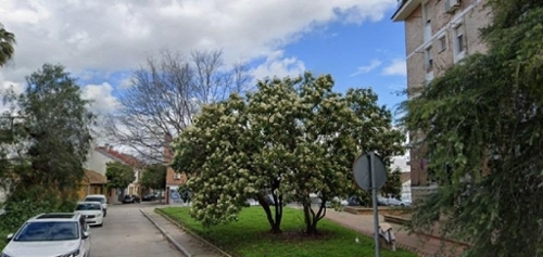 Villafranca De Córdoba Alto Guadalquivir appartement foto 6327912