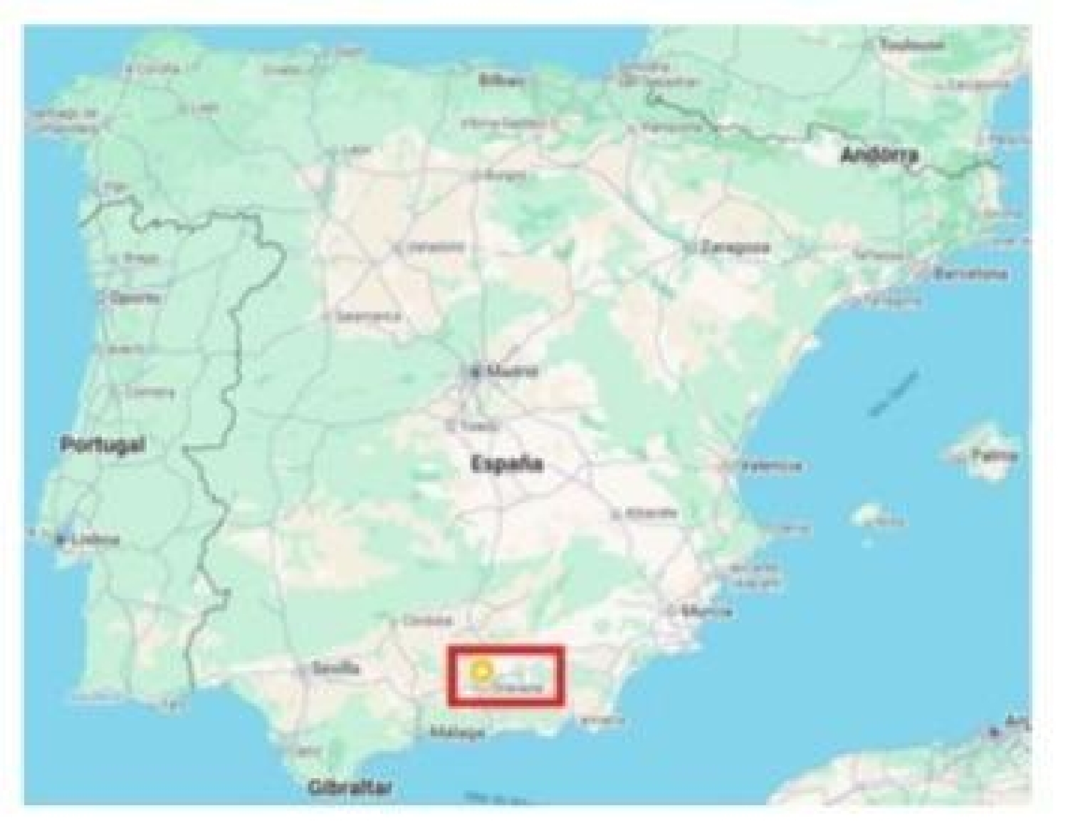  en venta edificio Armilla Vega De Granada 5