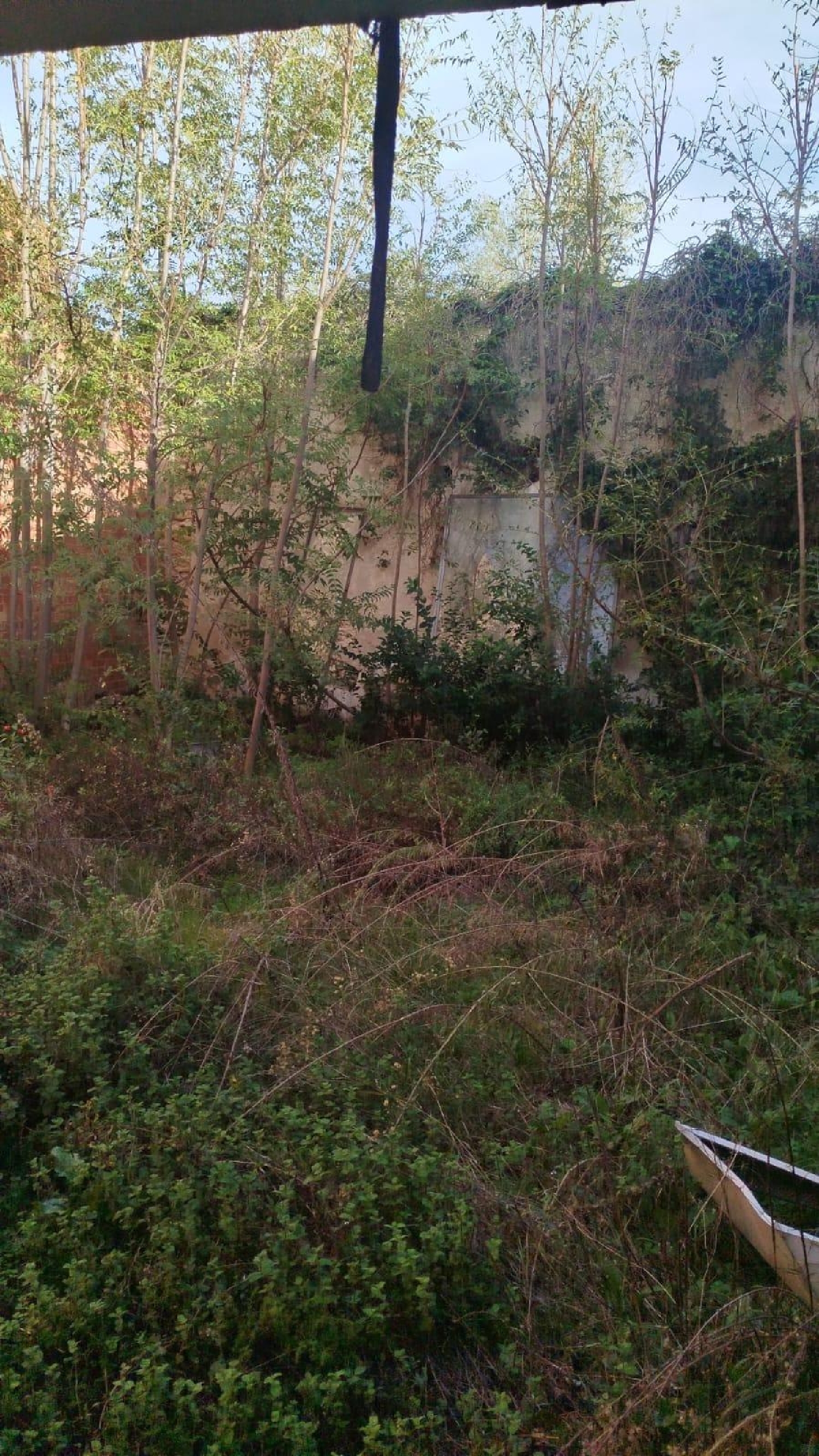  till salu byggnad L'olleria Vall D'albaida 7