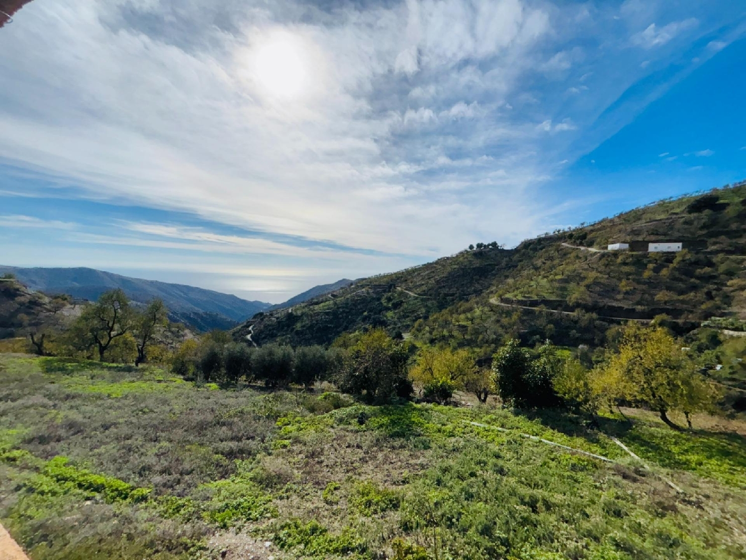  en venta edificio Sorvilan Costa Tropical 1