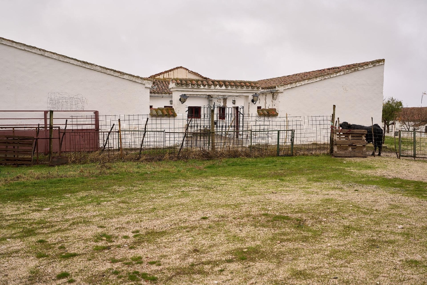  for sale house Horcajo-Medianero Tierra De Alba 5
