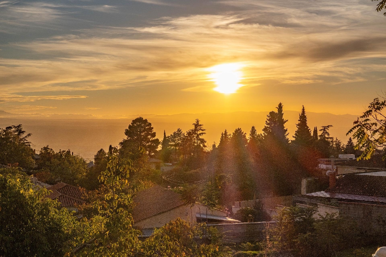  en venta local comercial Alfacar Vega De Granada 1