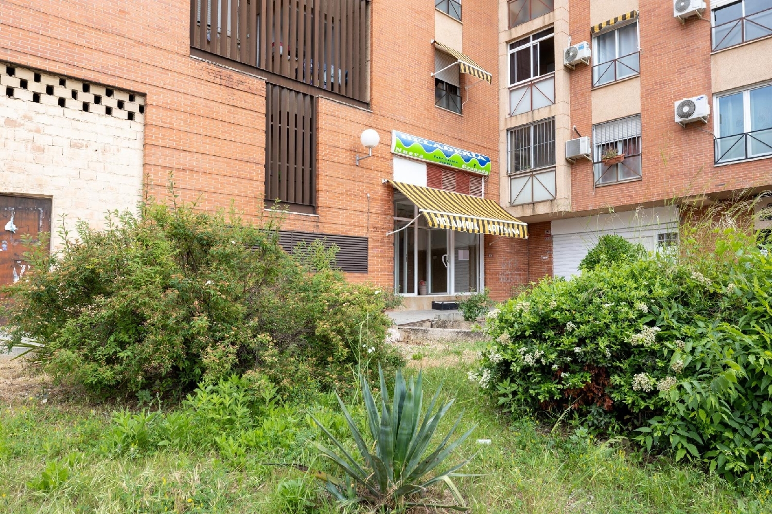 te koop bedrijfsruimte/ kantoor Barrio De Granada Alacantí 6
