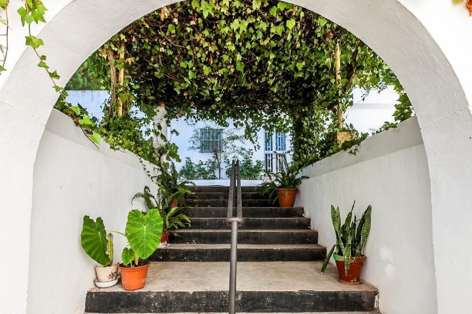  te koop bedrijfsruimte/ kantoor Campo-Mijas Costa Del Sol Occidental 2