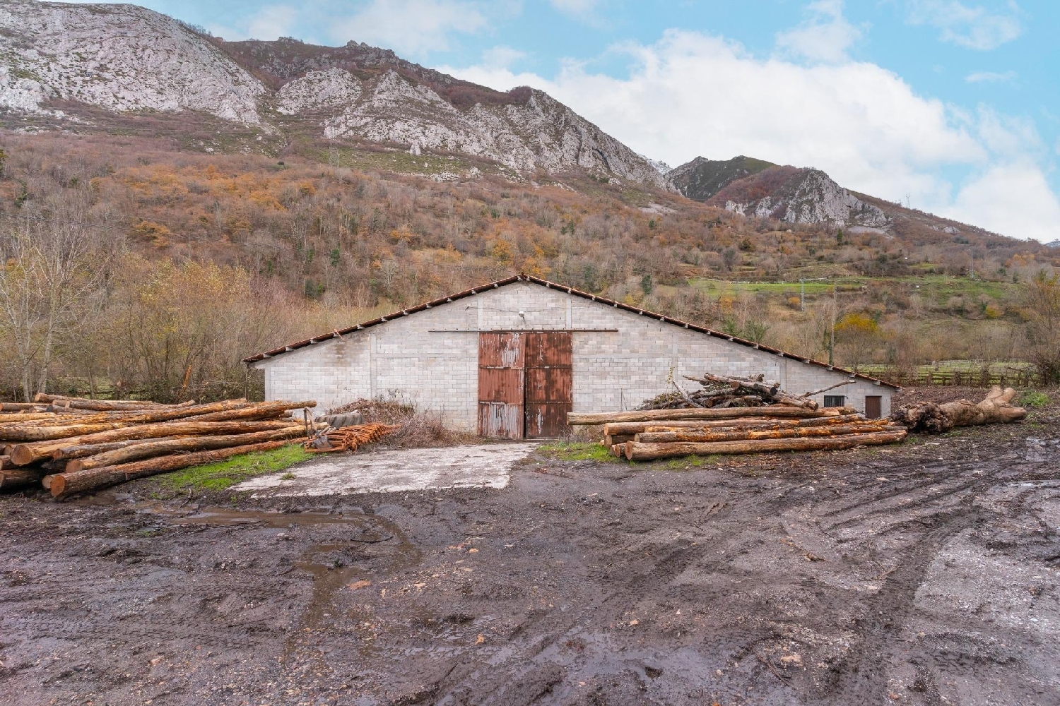 for sale commercial Campo De Caso Nalón 3