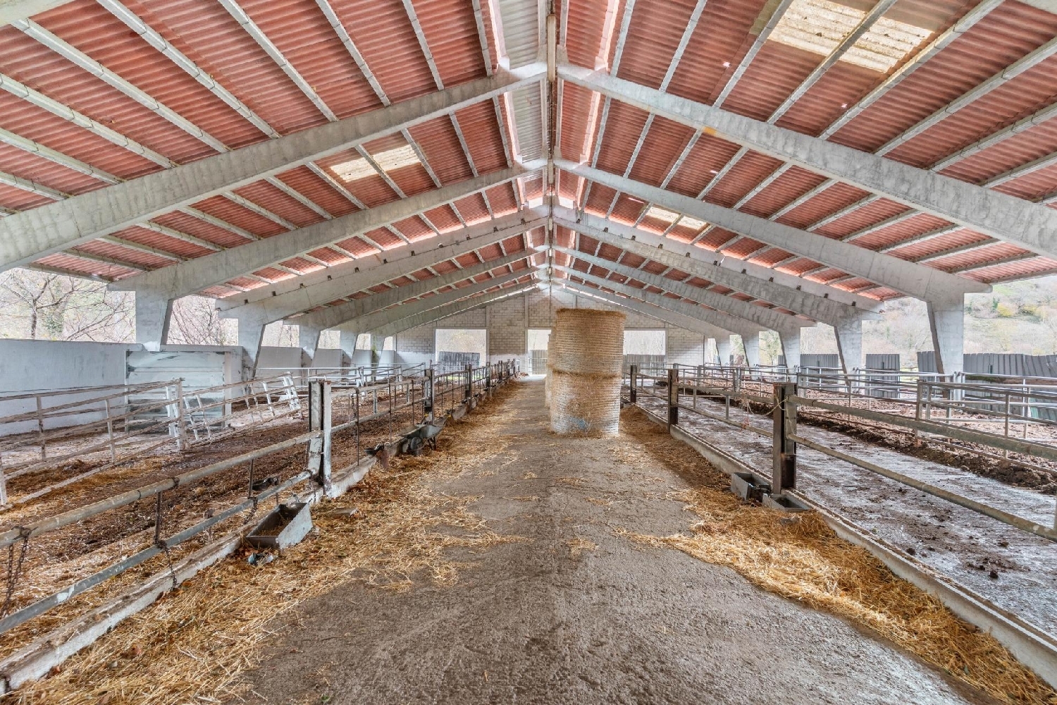 for sale commercial Campo De Caso Nalón 4