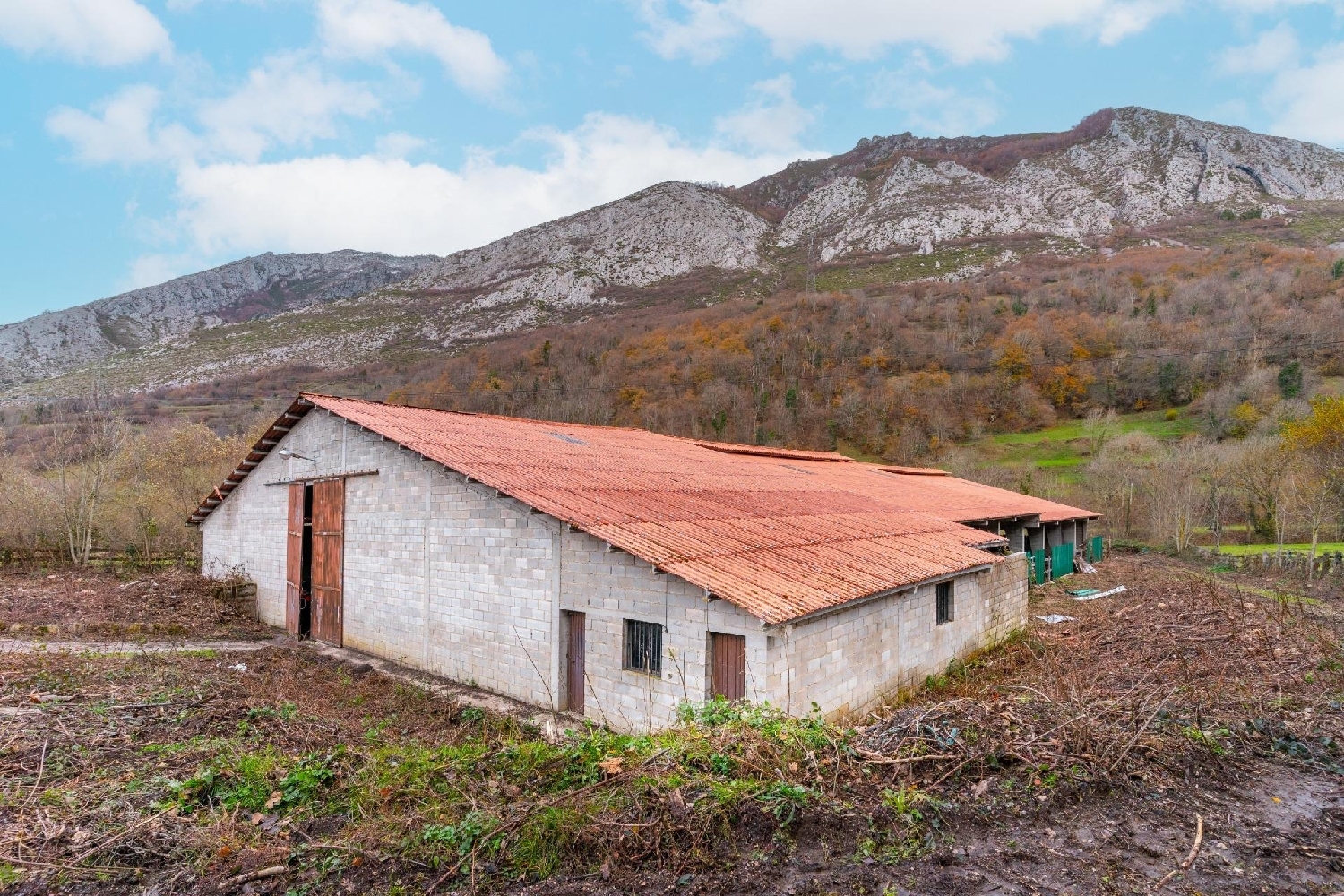 for sale commercial Campo De Caso Nalón 1