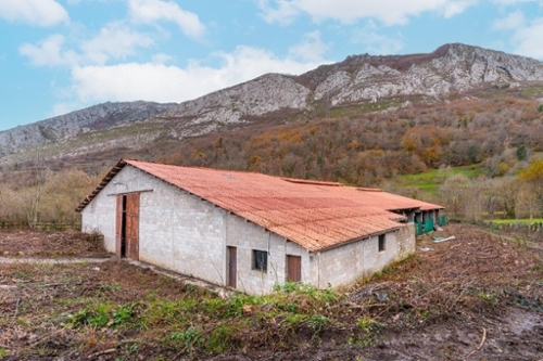 Campo De Caso Nalón commercial foto 6326523