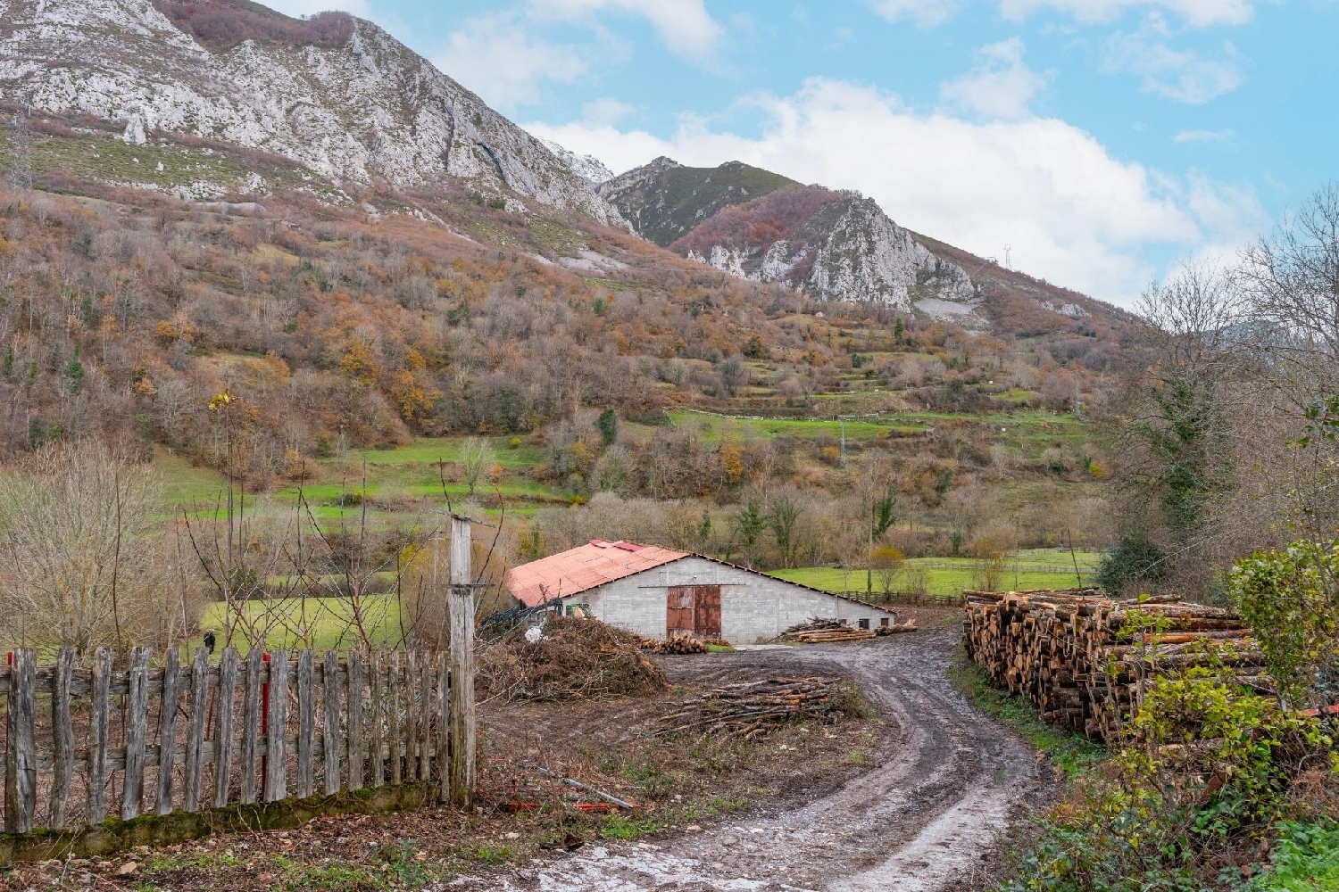 for sale commercial Campo De Caso Nalón 2