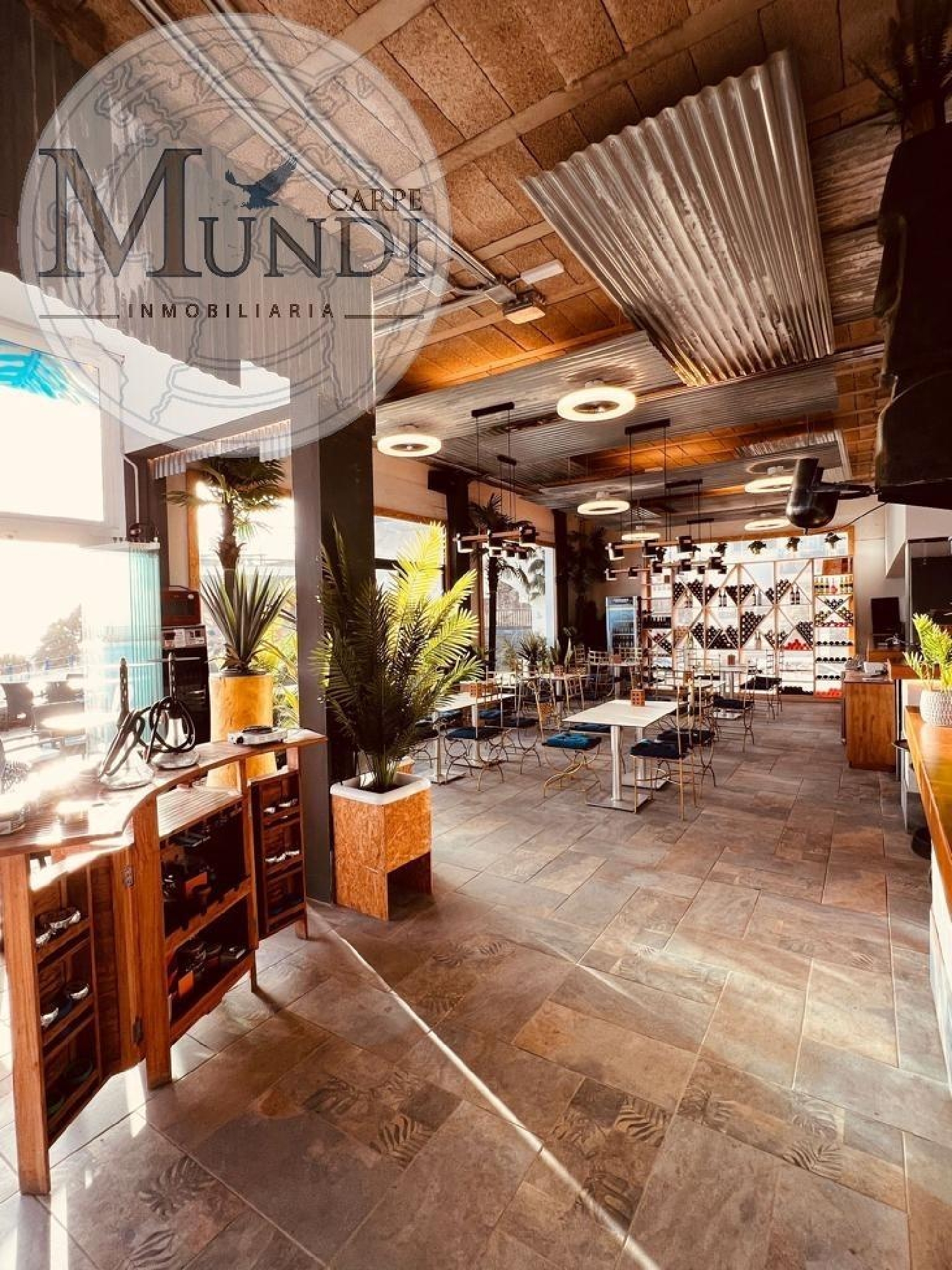  kaufen Gewerbeimmobilie El Cotillo Oliva (La) 6