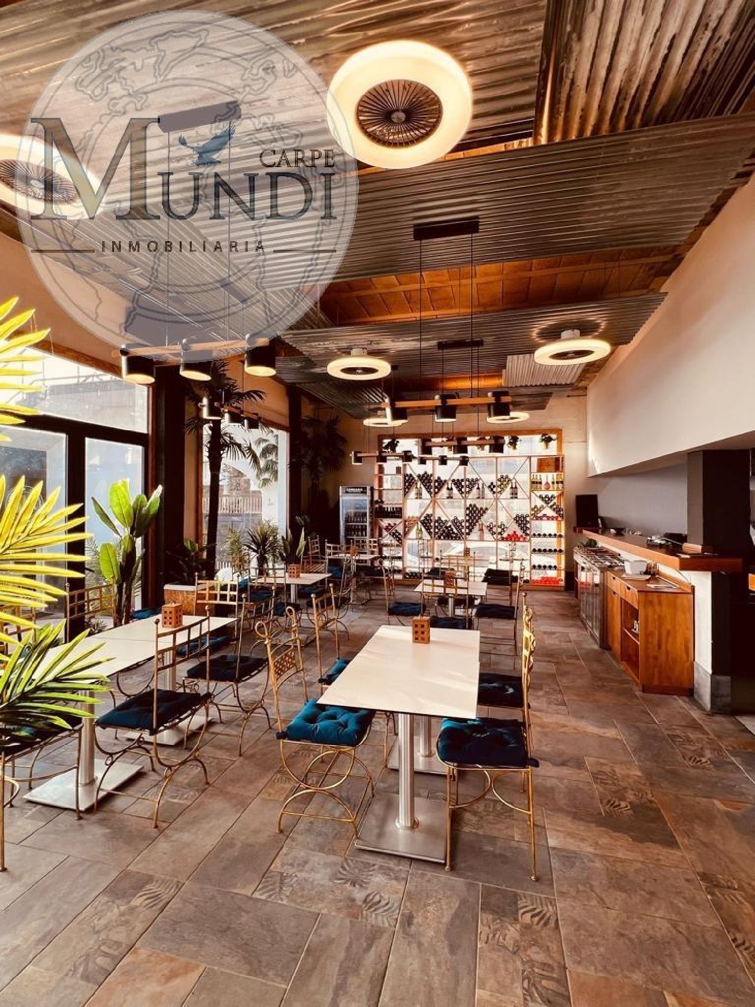  kaufen Gewerbeimmobilie El Cotillo Oliva (La) 4