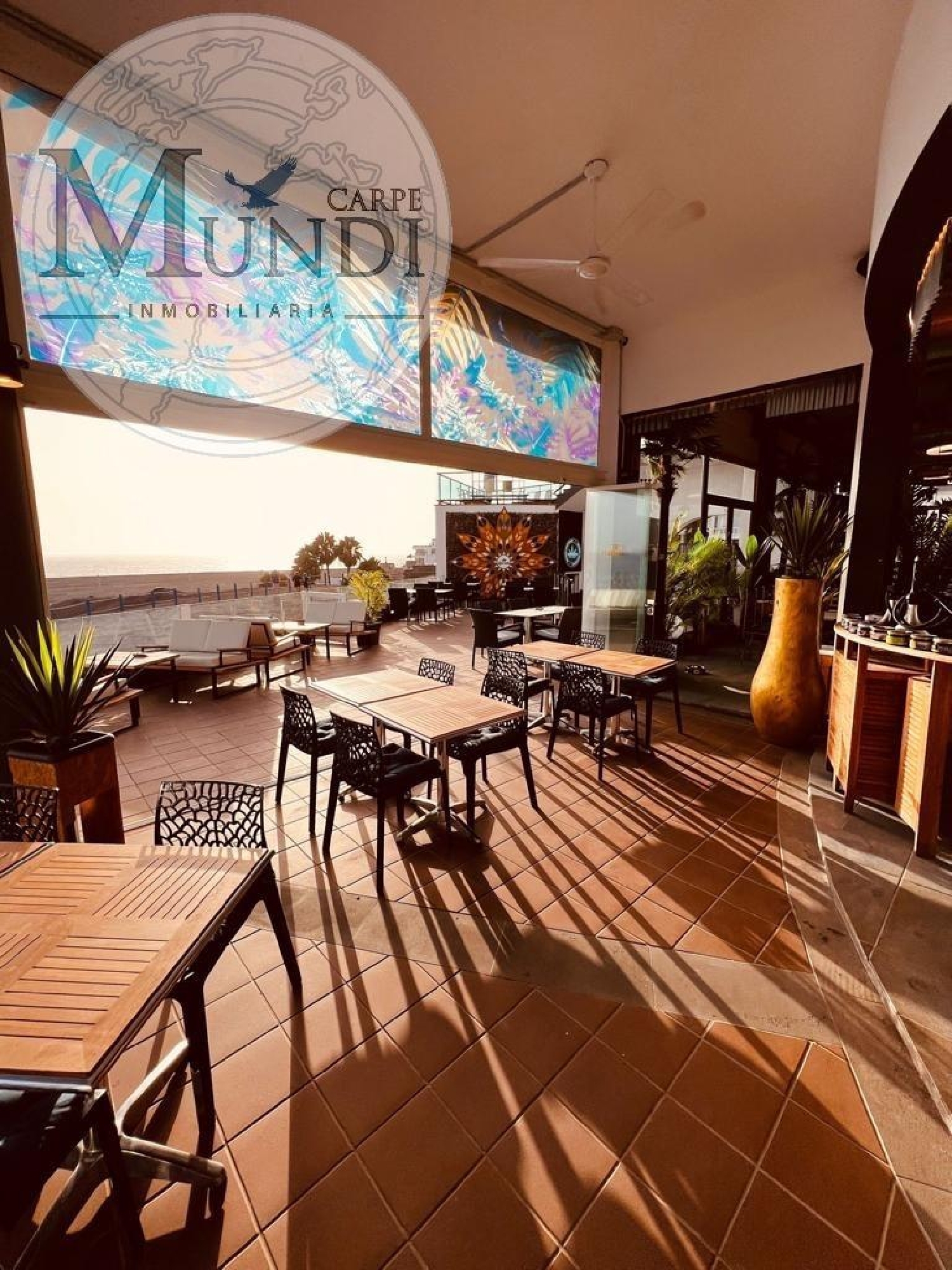  kaufen Gewerbeimmobilie El Cotillo Oliva (La) 3