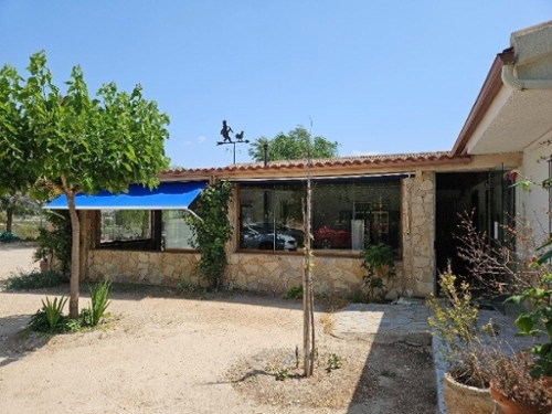 Elda Vinalopó Mitjà commercial foto 6325995