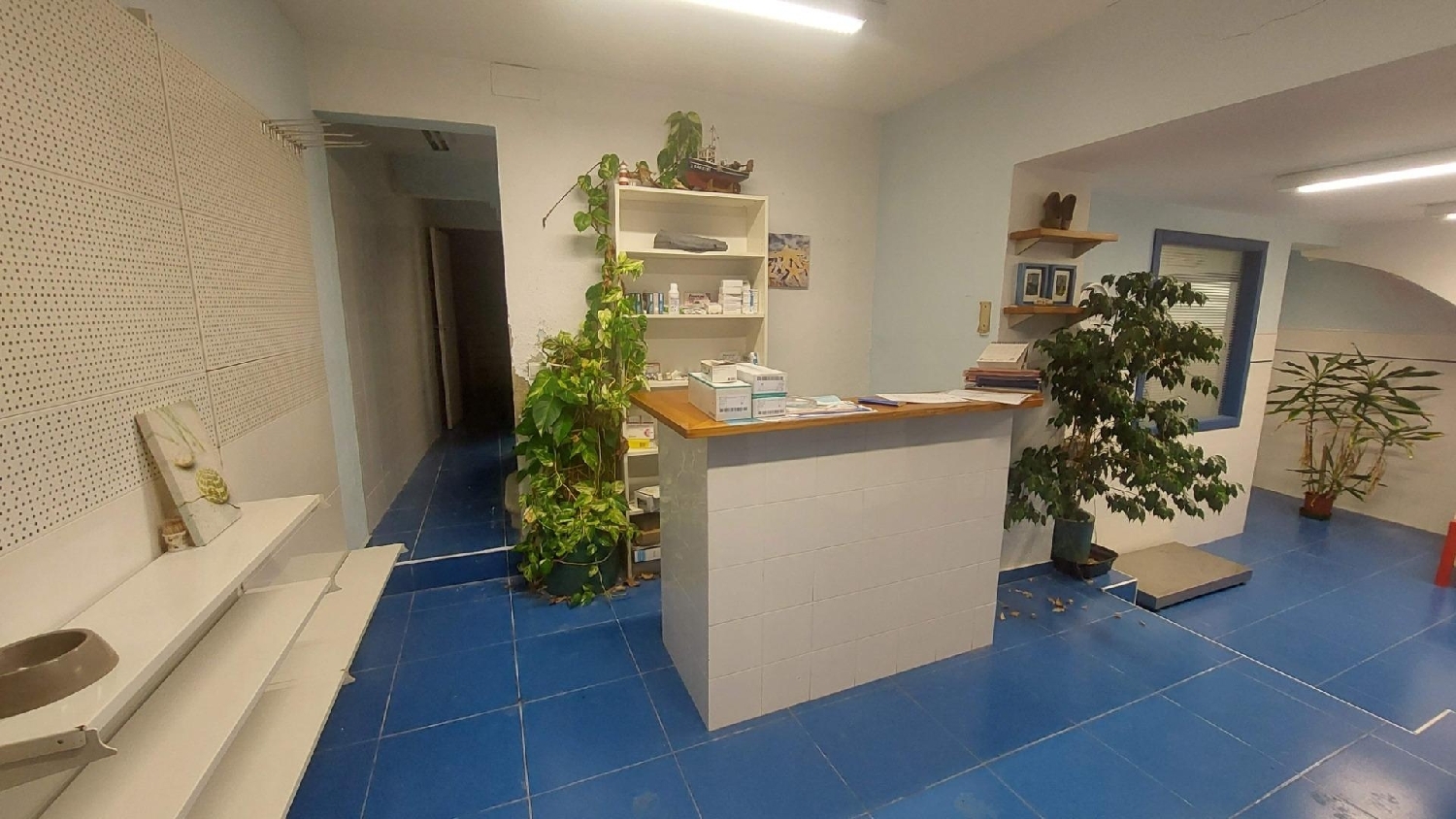 for sale commercial L'ametlla De Mar Baix Ebre 1