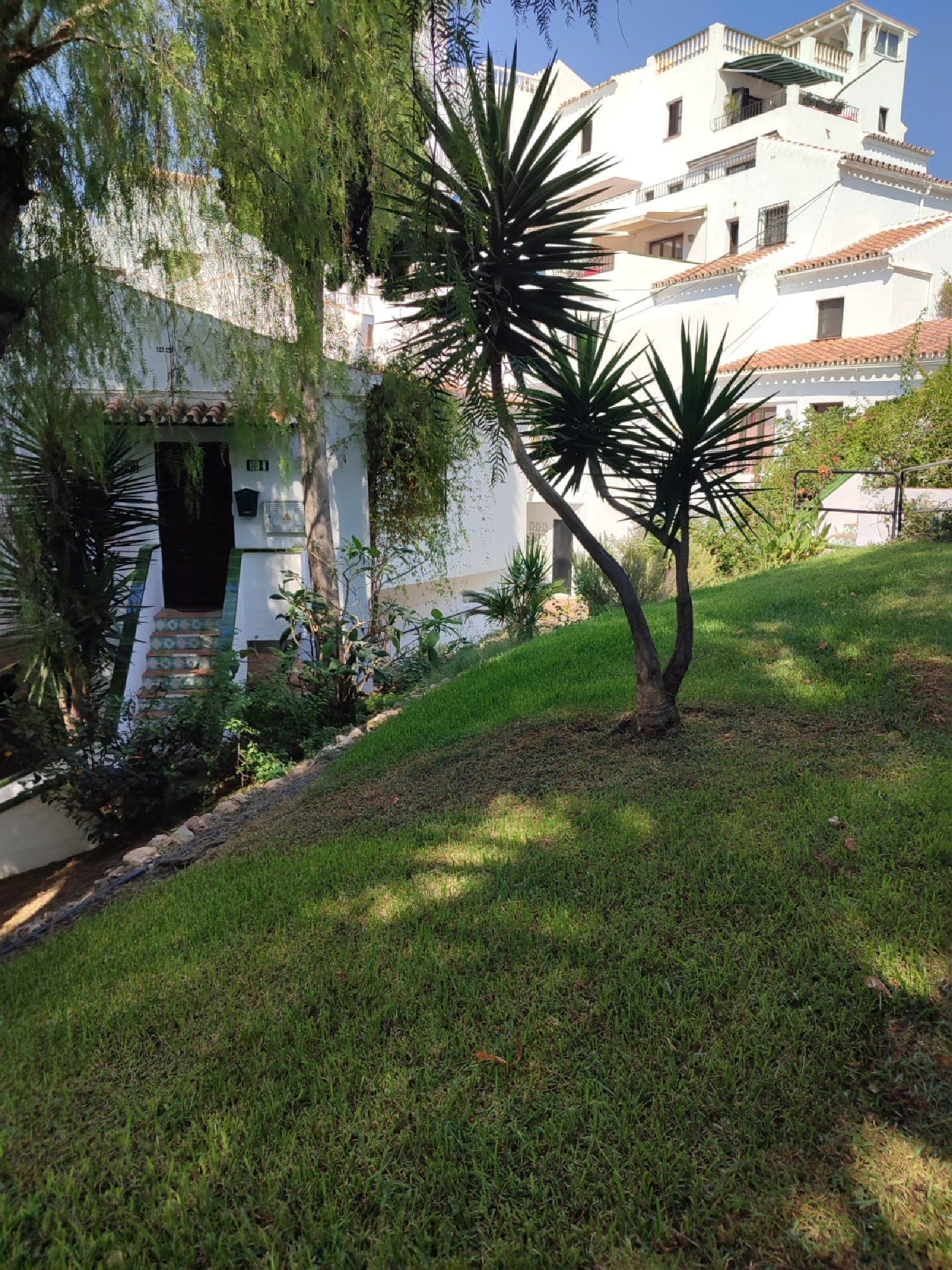 te koop bedrijfsruimte/ kantoor Nerja Axarquía 7