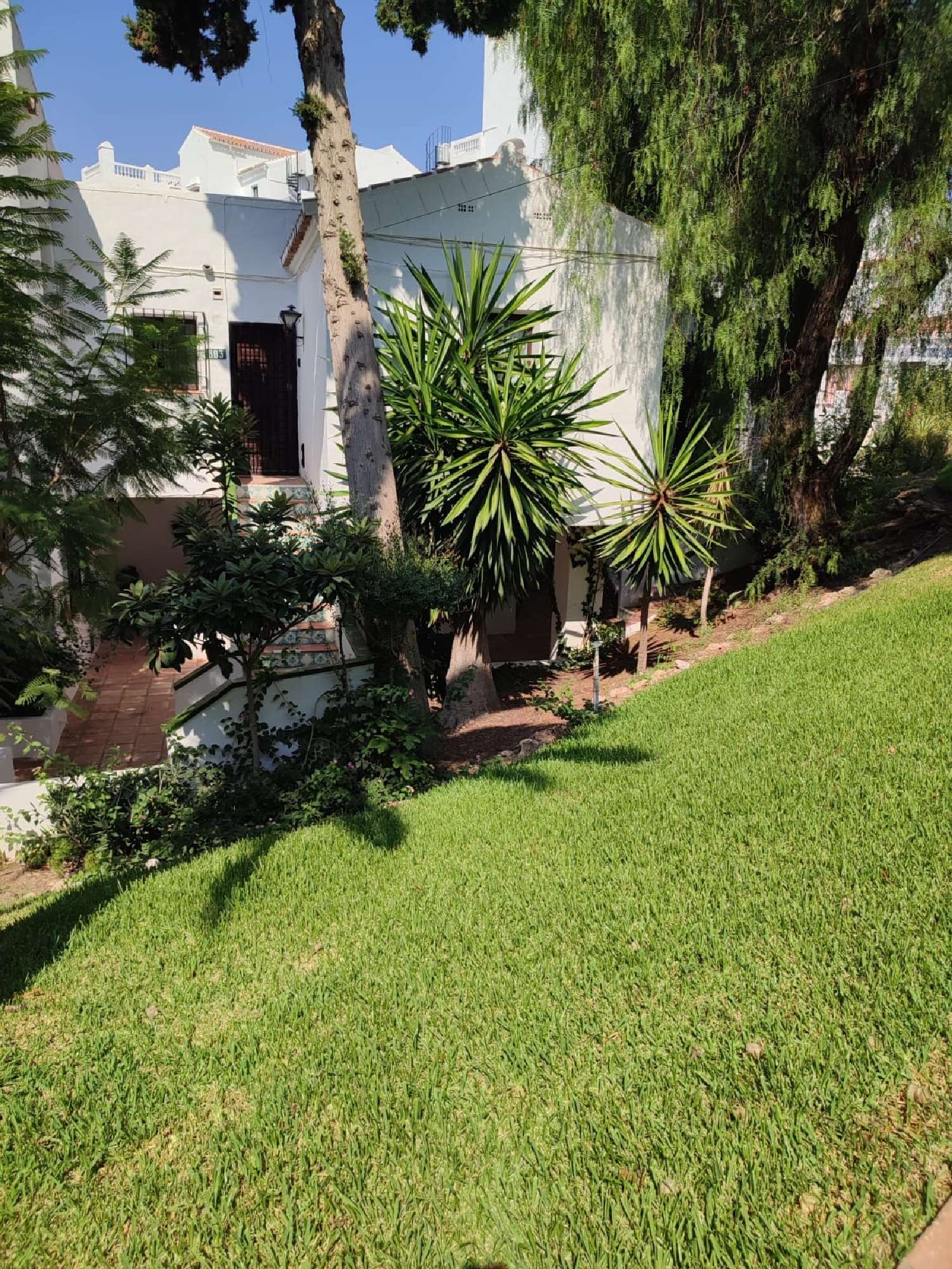 te koop bedrijfsruimte/ kantoor Nerja Axarquía 8