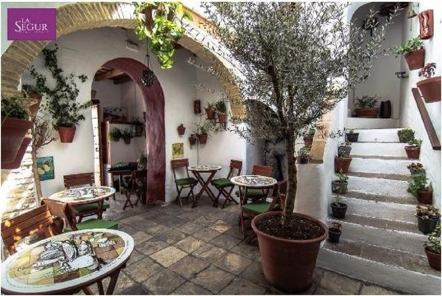  te koop bedrijfsruimte/ kantoor Vejer De La Frontera Janda (La) 3