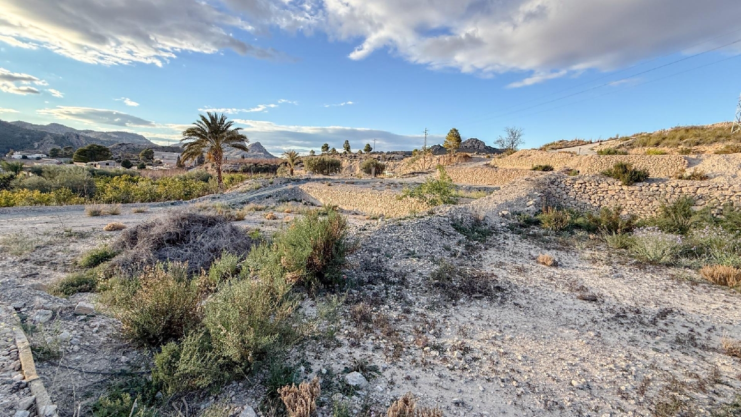 till salu hus på landet Abarán Vega Alta Del Segura 7