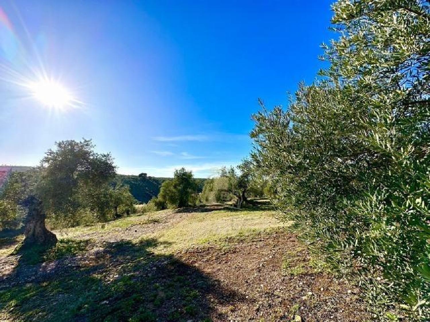  till salu hus på landet Adamuz Alto Guadalquivir 5