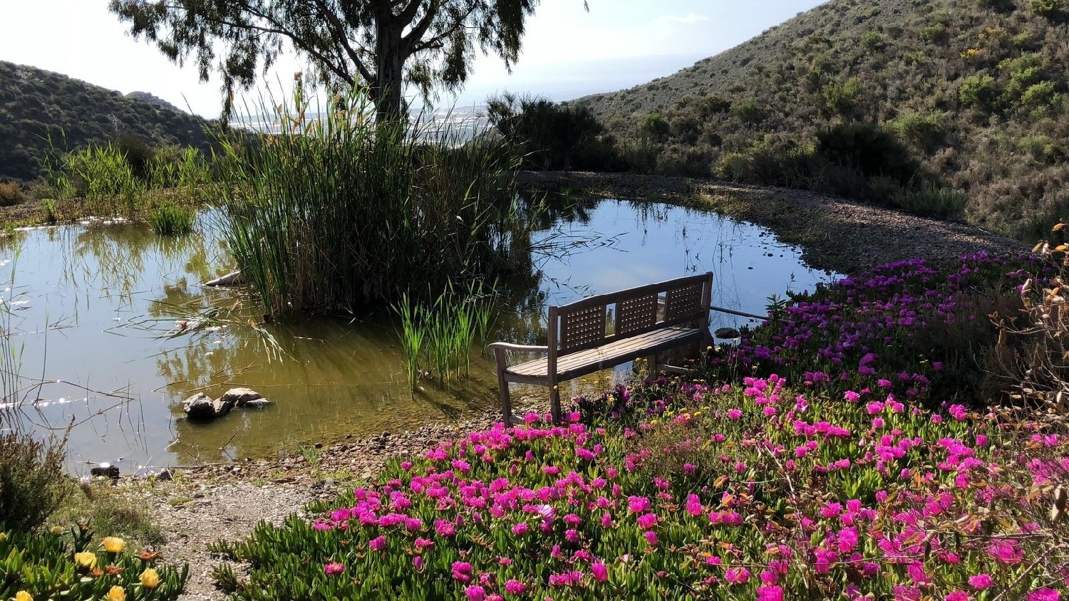  en venta finca rústica Águilas Alto Guadalentín 4