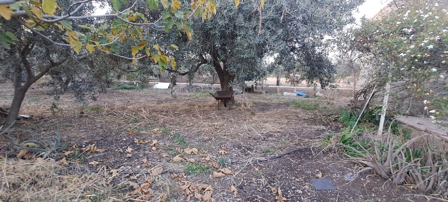  en venta finca rústica Águilas Alto Guadalentín 8