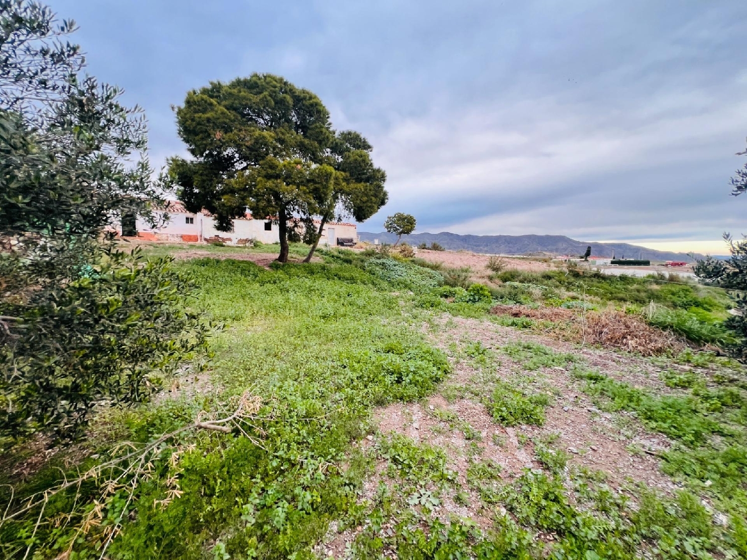  à vendre maison de campagne Águilas Alto Guadalentín 8