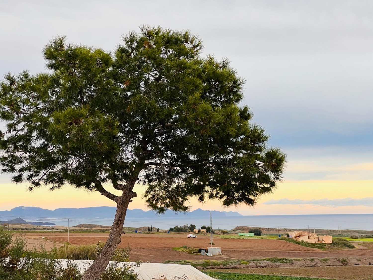 à vendre maison de campagne Águilas Alto Guadalentín 1