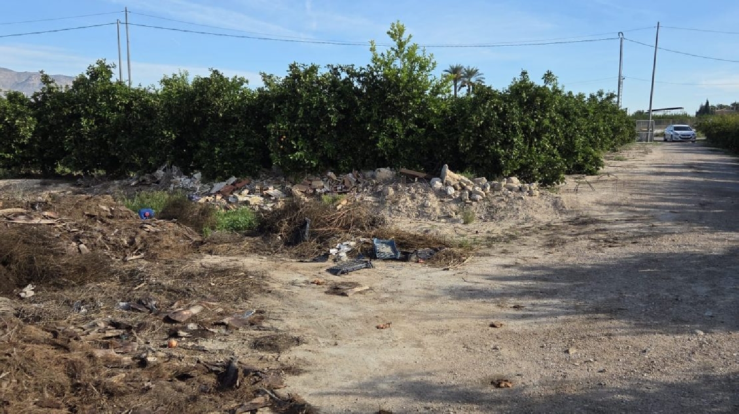  for sale country house Albatera Baix Segura 4