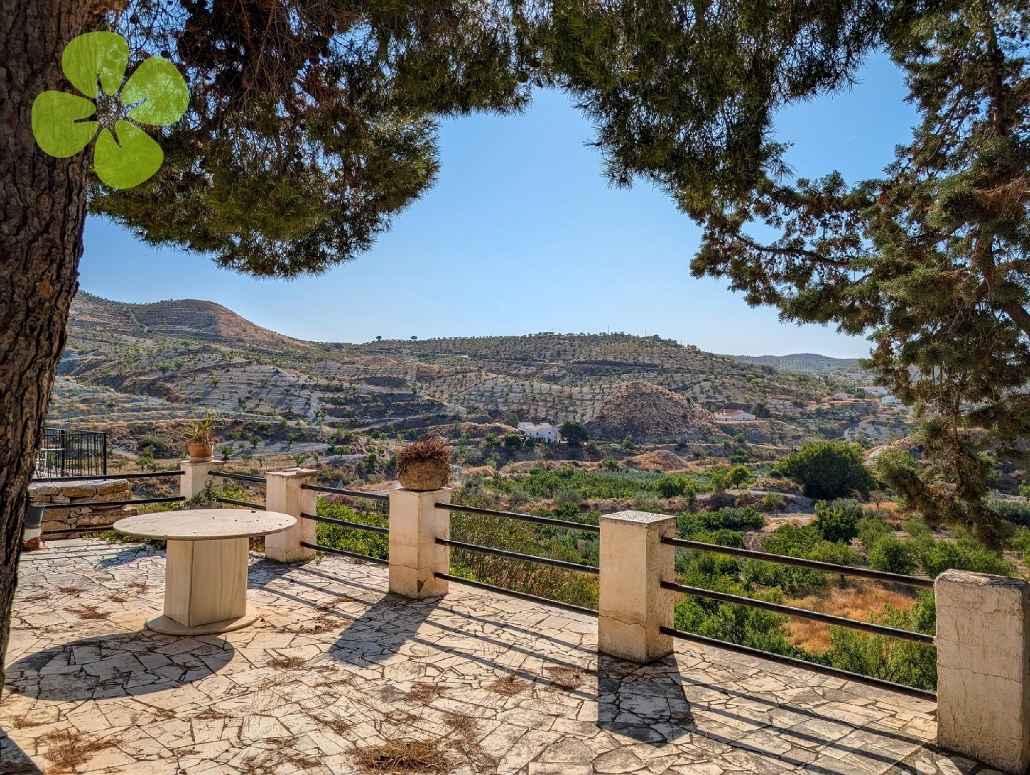  en venta finca rústica Albox Valle Del Almanzora 2