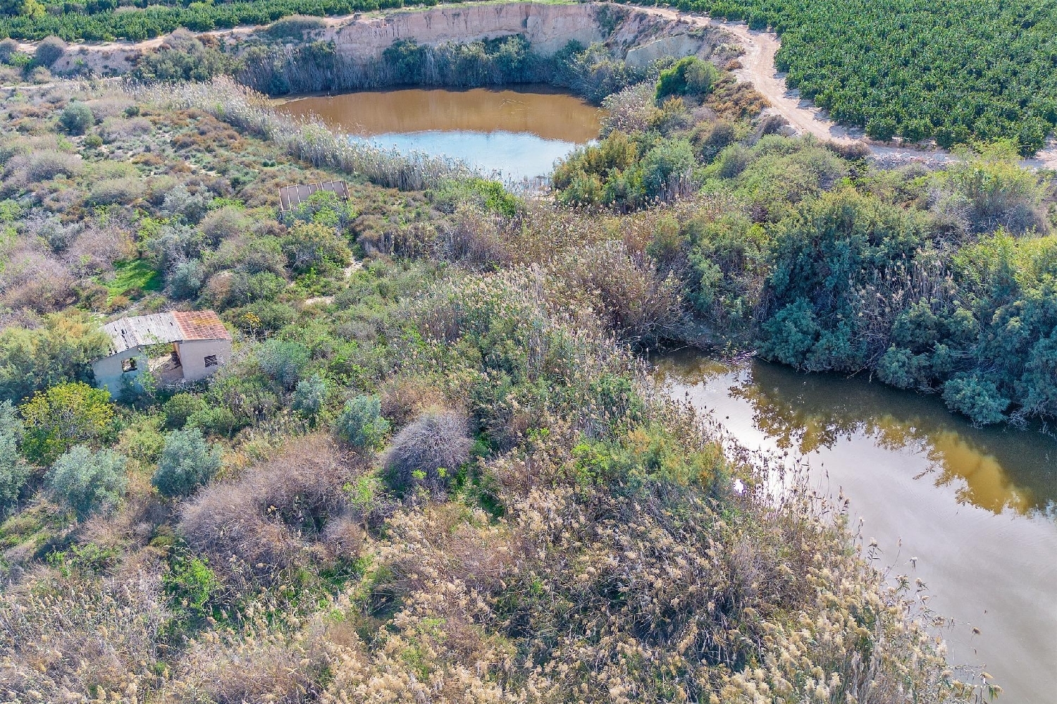  for sale country house Alicante Centro 03001 Alacantí 2