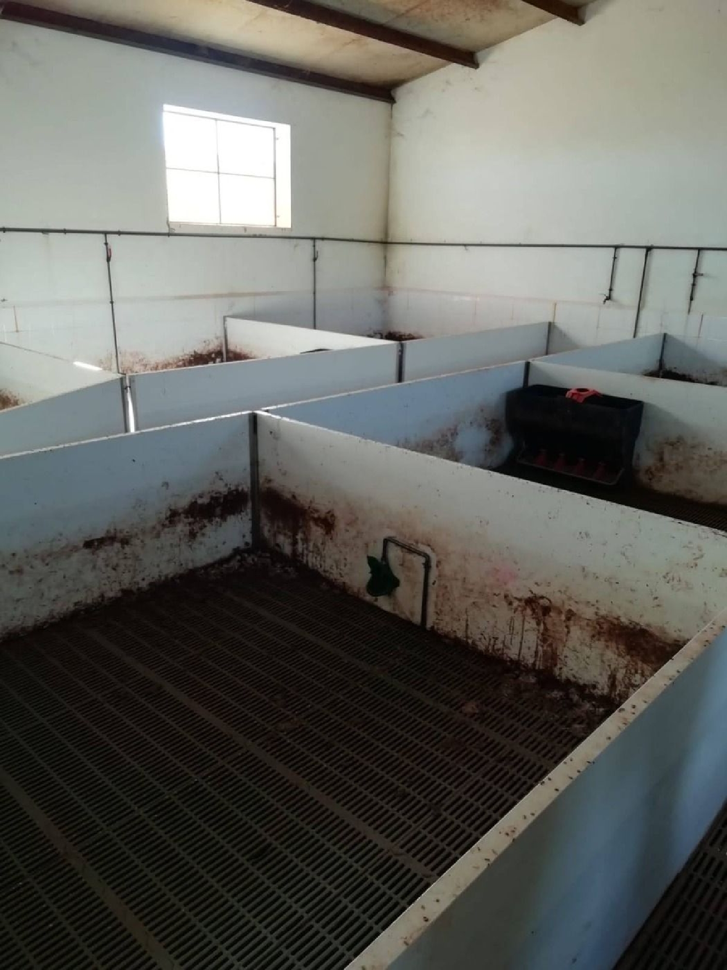  te koop boerderij Almadén De La Plata Sierra Norte 8