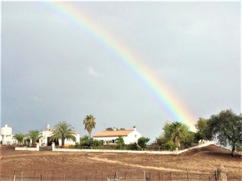 Almadén De La Plata Sierra Norte boerderij foto 6328794