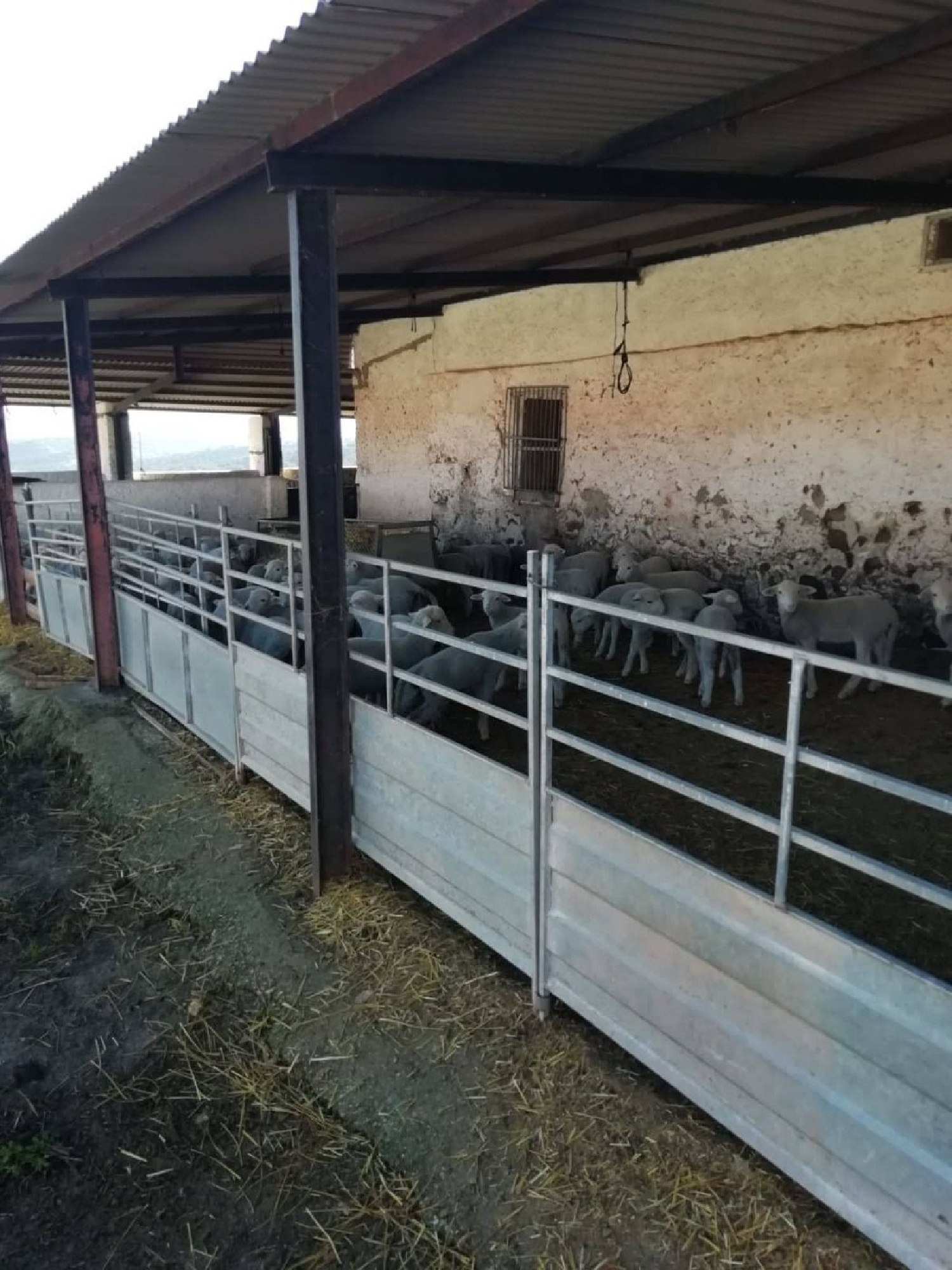  te koop boerderij Almadén De La Plata Sierra Norte 6