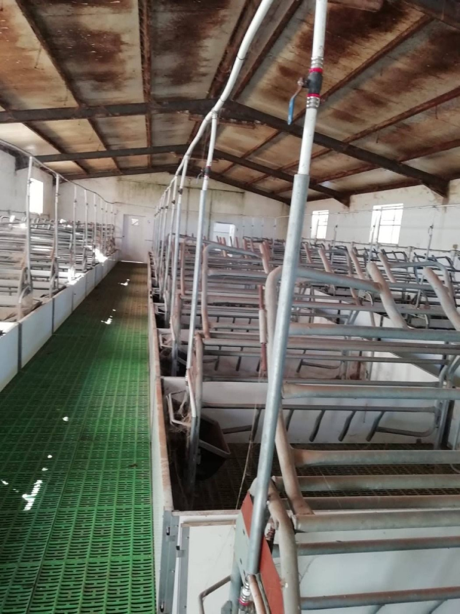  te koop boerderij Almadén De La Plata Sierra Norte 7