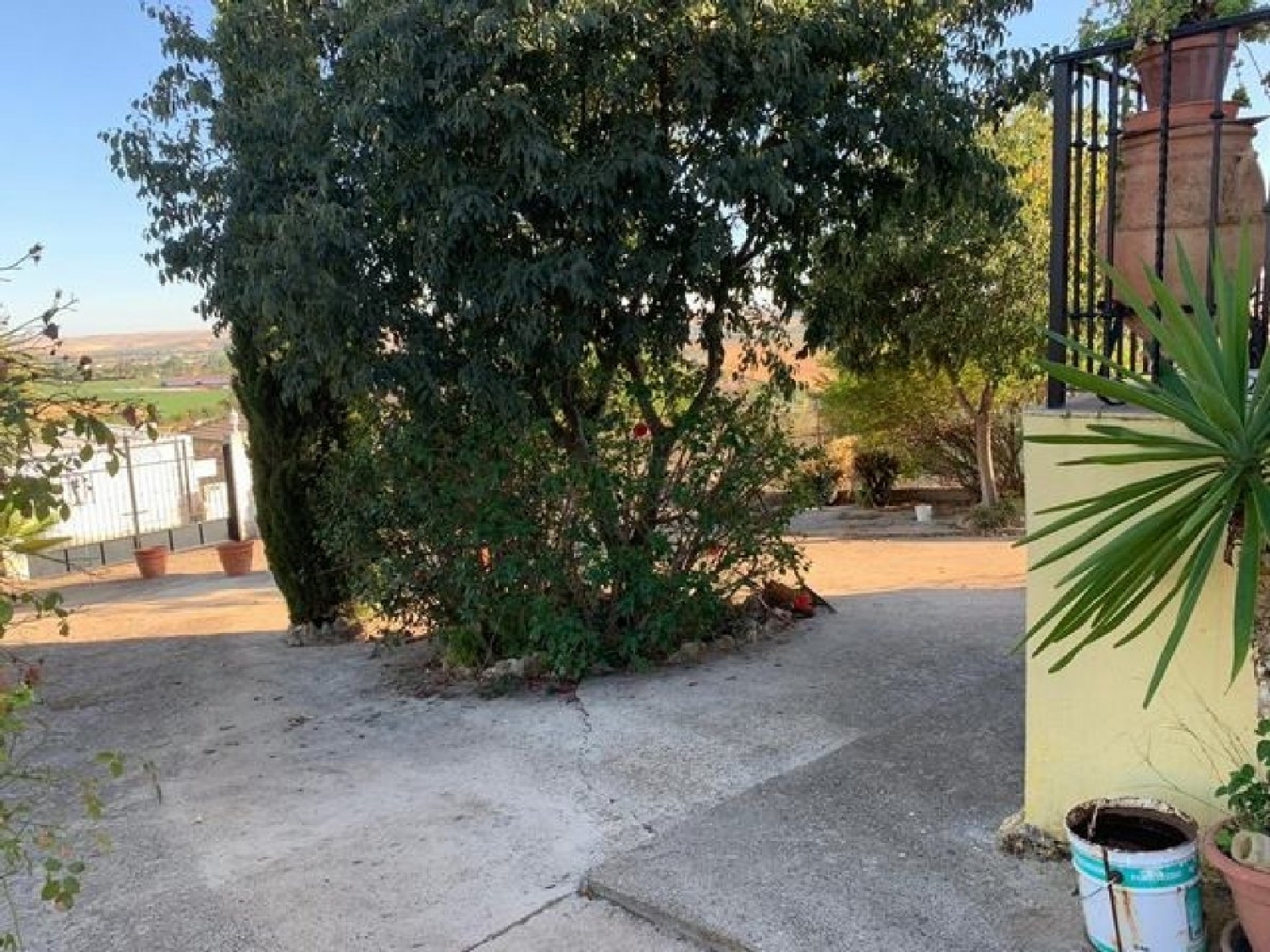  kaufen Landhaus Almodóvar Del Río Valle Medio Del Guadalquivir 7